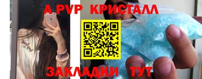 прущие грибы Гатчина