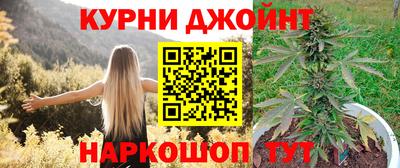 сатива Гагарин