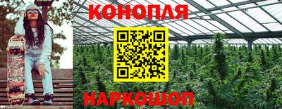 прущие грибы Гатчина