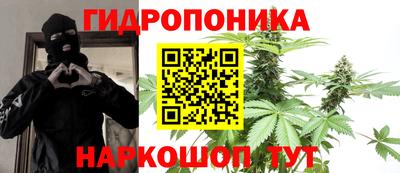 сатива Гагарин